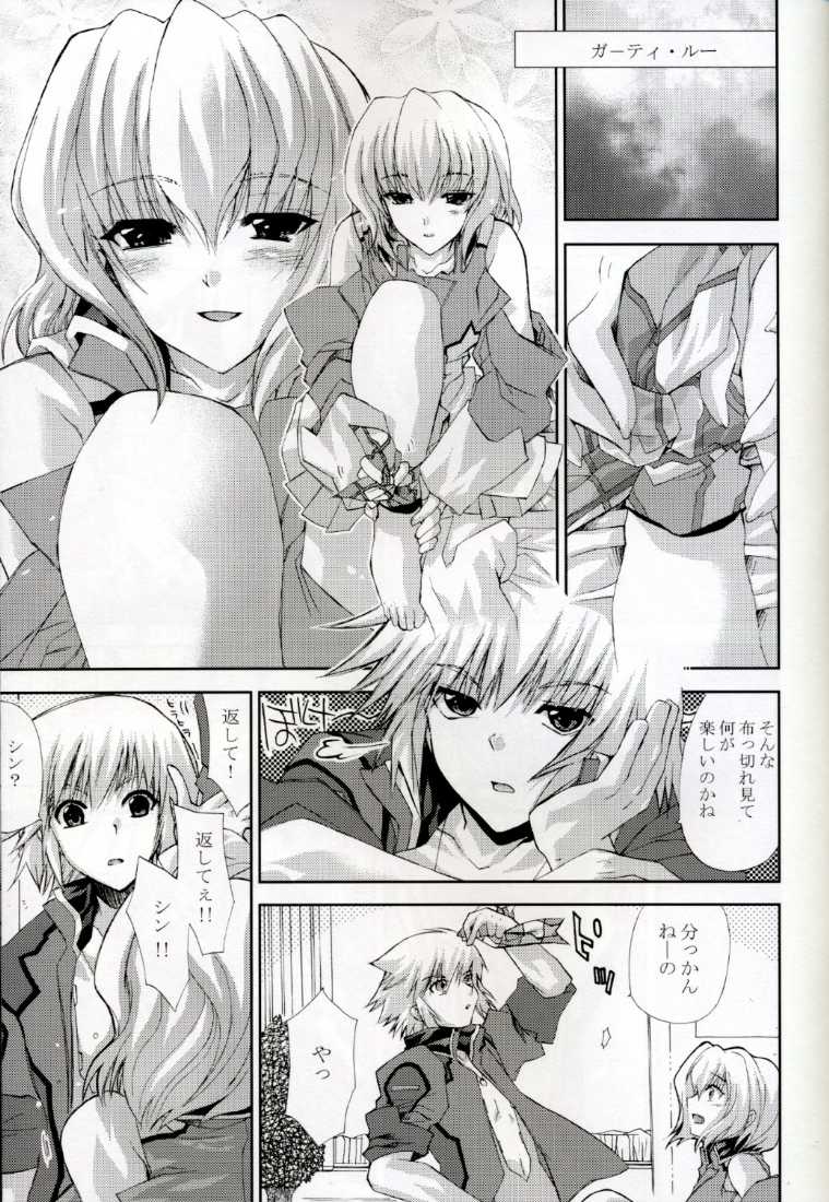 [FANTASY WIND] L-S (Kidou Senshi Gundam Seed Destiny) page 4 full