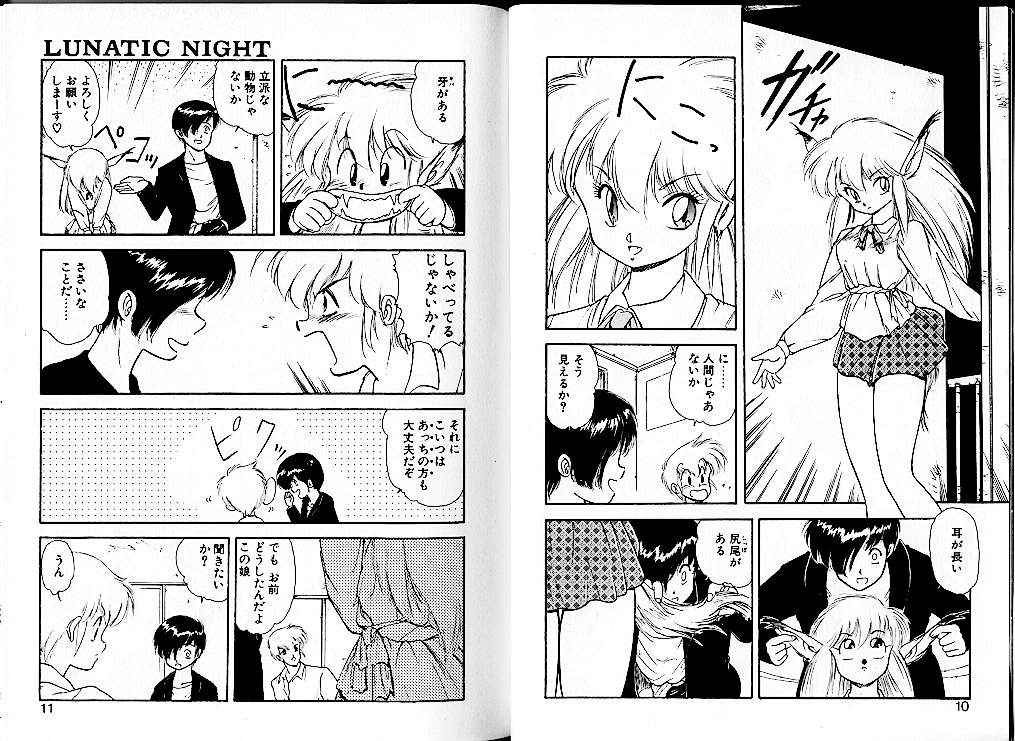 [Mii Akira] Lunatic Night 1 page 9 full