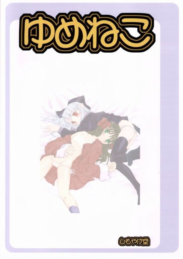 (C65) [Shimoyakedou (Various)] Yumeneko (Tsukihime) page 64 full
