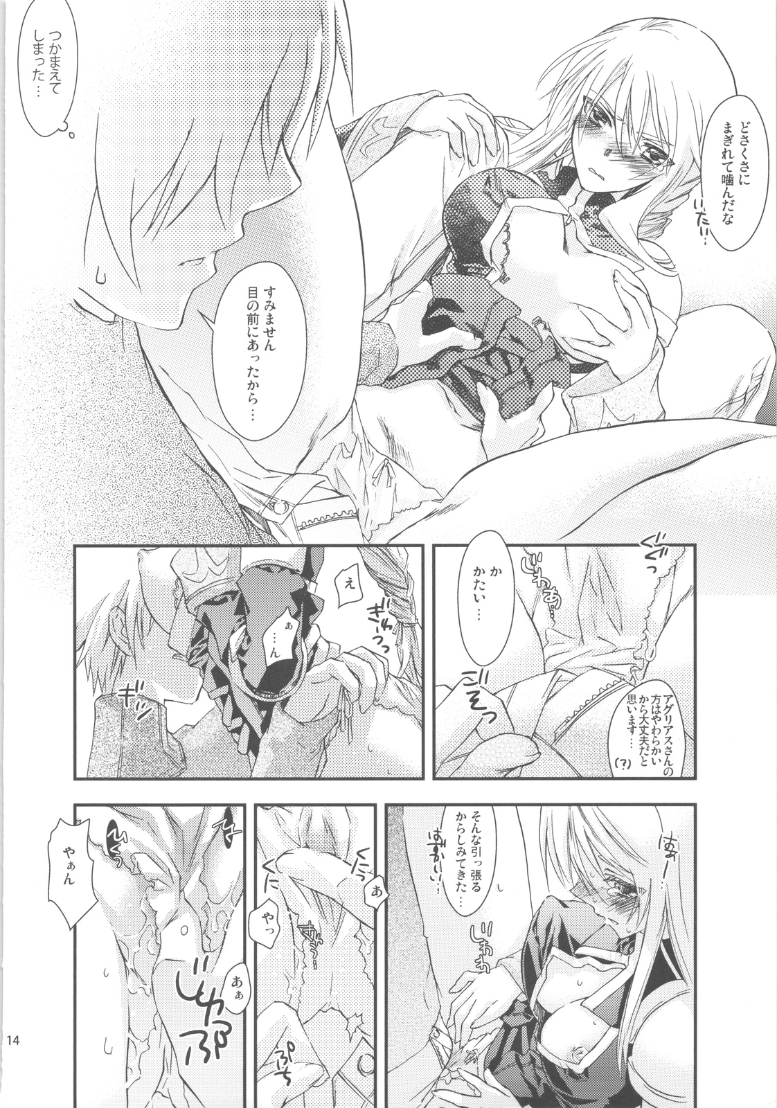 (C75) [Annin (Tooka)] NamelessDance with Agrius (Final Fantasy Tactics) page 14 full