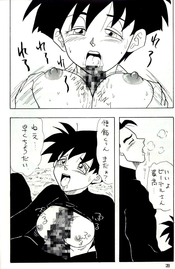 [Chirigami Goya, Fusuma go Ten (Shouji Hariko)] YYY (Dragon Ball) page 28 full