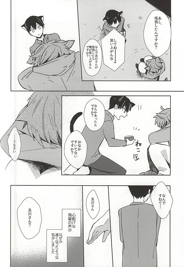 (RTS!!5) [Shounen-H (Yuuki)] Neko ni Natta Oikawa-san (Haikyuu!!) page 13 full