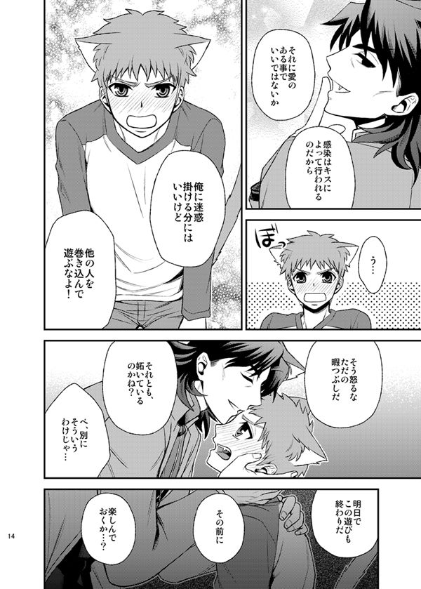 [TEKETO (Sanada)] Nyan  Nyan Network (Fate/stay night) [Digital] page 16 full