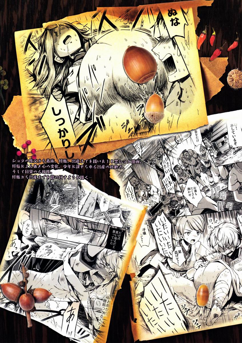 (C83) [Sakusaku Kangen Noushuku (Matashita Kintama)] Shota Ninshin page 38 full