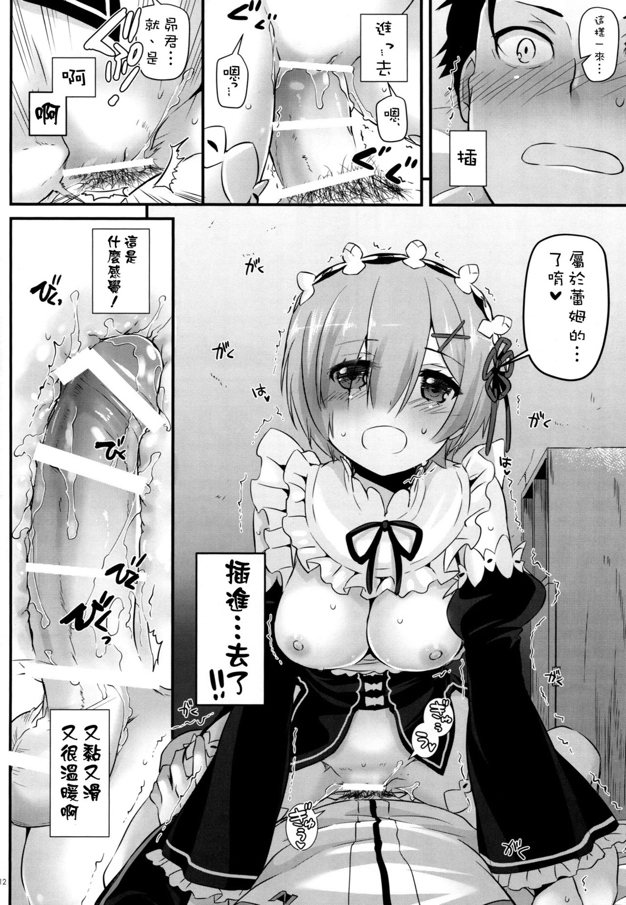 (CT28) [Digital Lover (Nakajima Yuka)] D.L. action 110 (Re:Zero Kara Hajimeru Isekai Seikatsu) [Chinese] [空気系☆漢化] page 12 full