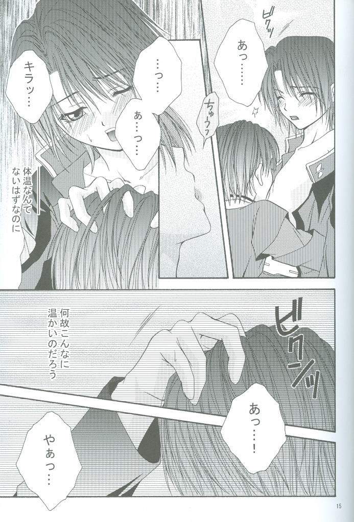 (CCOsaka44) [W.QUAKE (Anryuu Hina)] Crystal Universe (Gundam Seed) page 14 full