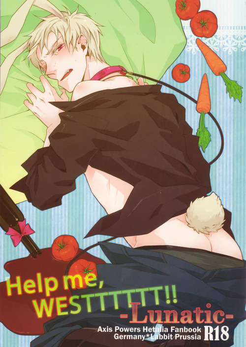 [LUNATIC] Help me, westttttt!! (Axis Powers Hetalia) page 1 full