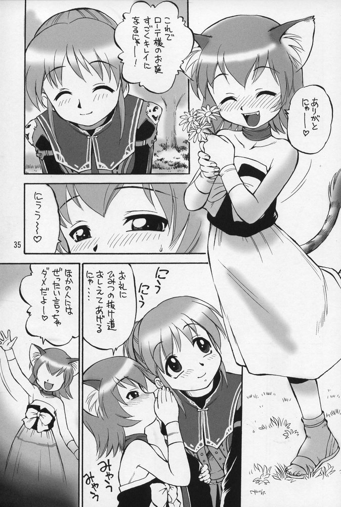 (C68) [Jack-O'-lantern (Ebifly, Neriwasabi)] Neko Panchu (Final Fantasy XI) page 34 full