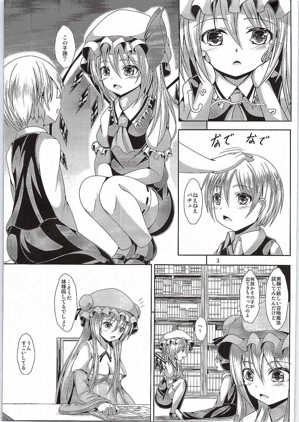 (C87) [Nabeyaki Udon (Roro)] Flan-oneechan no Ecchi na Shitsuke (Touhou Project) page 2 full