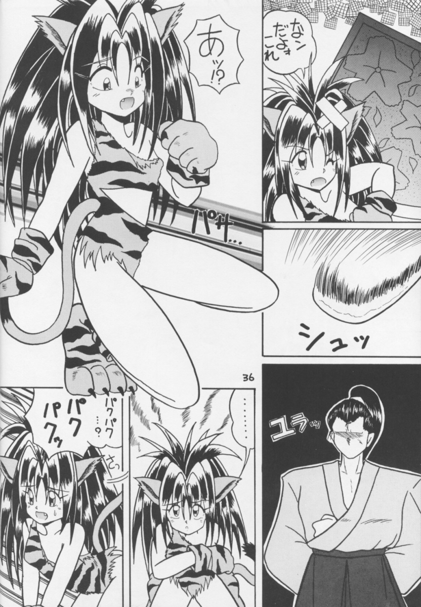 (C47) [O-Hana no Mise Myonmyon (various)] Touhou Huhai (Samurai Spirits) page 35 full