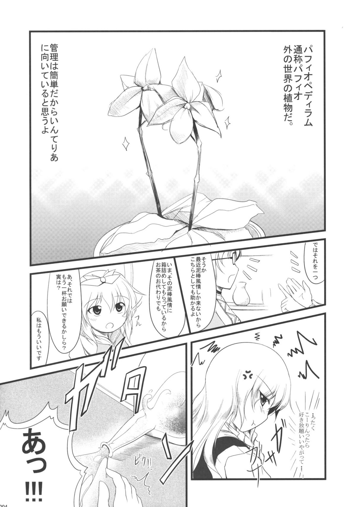 [Romance no Neko Ookami Musume (gisyo)] Kyou Ka (Touhou Project) page 3 full