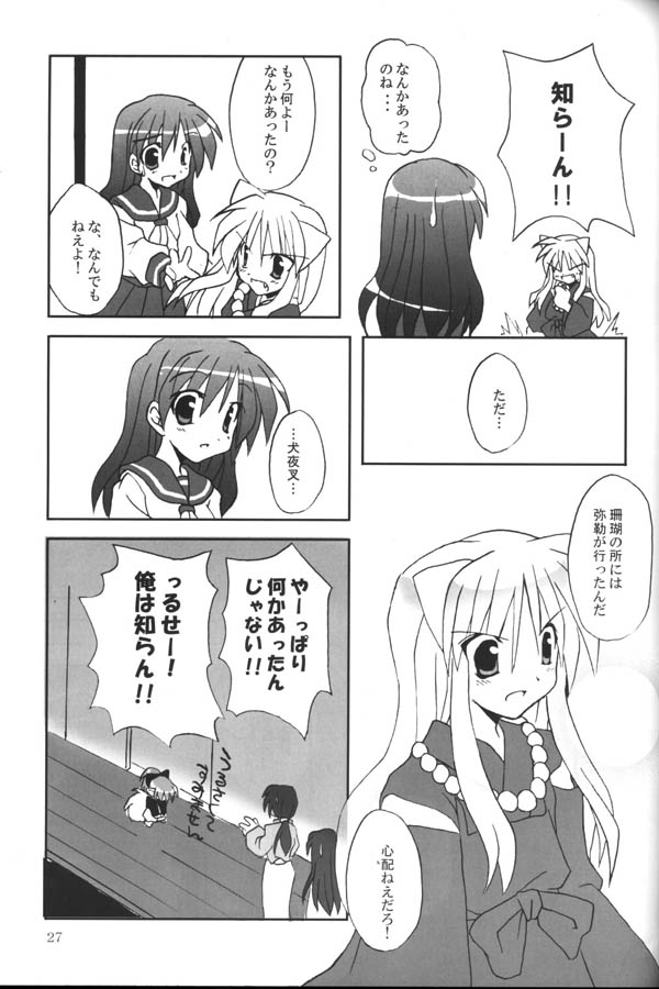 (C65) [Sumitan (Satou Kibi)] Sango-chan no Hon - Dai-san Maku (Inuyasha) page 25 full