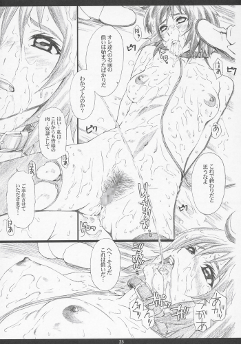 (C68) [M (Amano Ameno)] GseedM (Gundam SEED DESTINY) - page 22