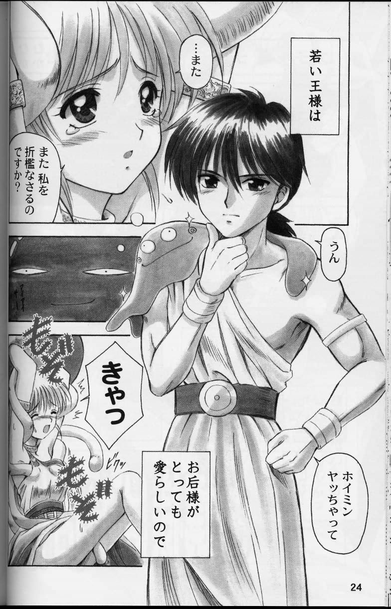 (CR33) [STUDIO RUNAWAY WOLF (Nakajima Akihiko)] Moe Moe Quest (Dragon Quest) page 24 full