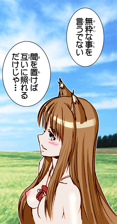 (SC38) [Raijinkai (Harukigenia)] Wolf Road (Ookami to Koushinryou [Spice and Wolf]) [Colorized] page 74 full