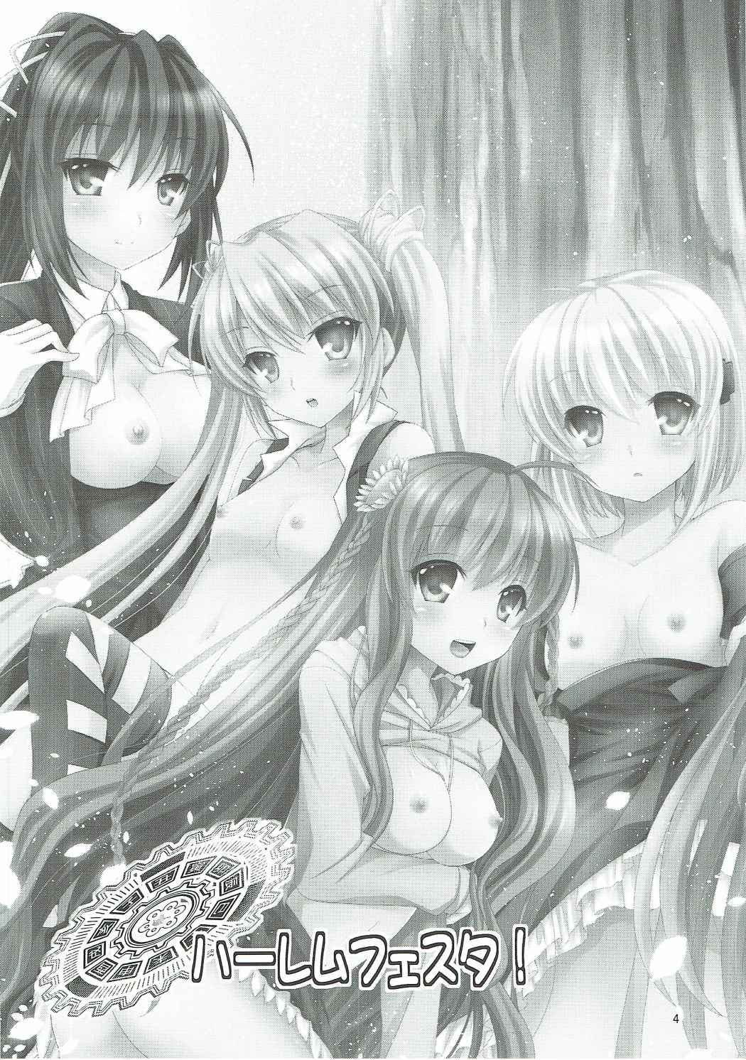 (C91) [Kuronekotei (Chibinon☆)] Harem Festa! (Rewrite) page 3 full