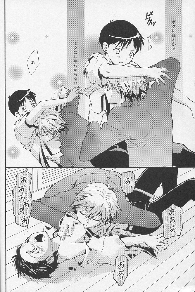 (C77) [RAYTREC (Fuyunagi Reku)] +PLUS (Neon Genesis Evangelion) page 9 full