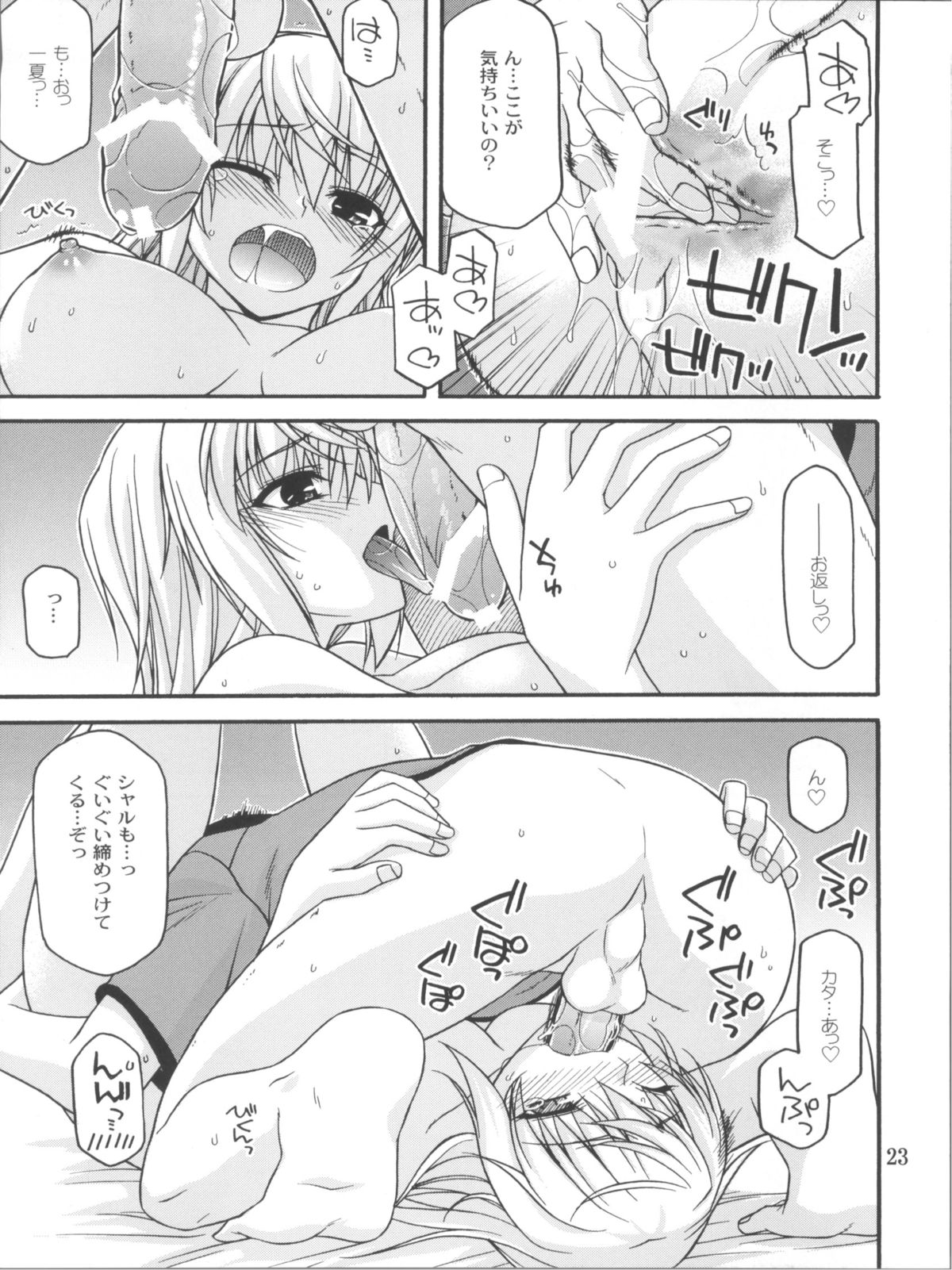 (COMIC1☆5) [CRIMSON GROUND (Miyashiro Sousuke)] Schwarzer Rafale (Infinite Stratos) page 22 full
