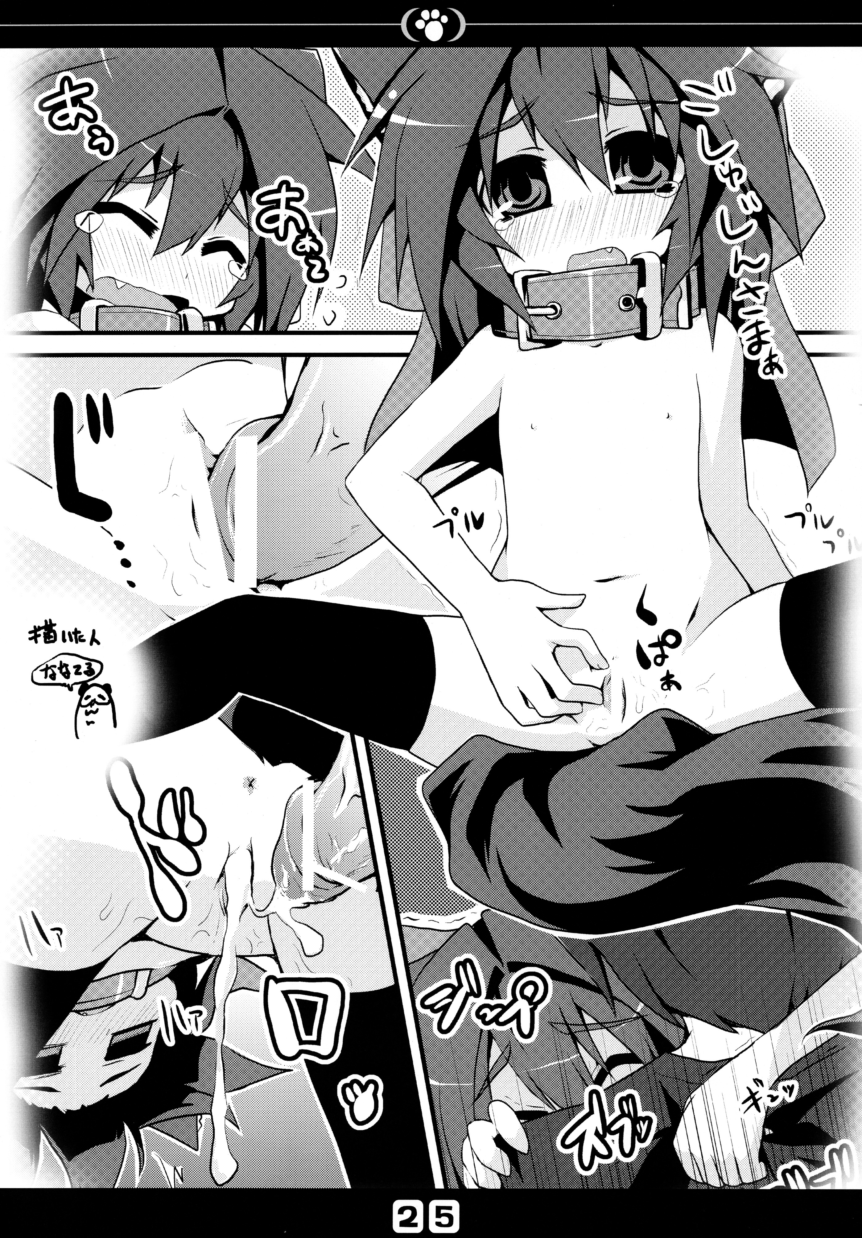 (C77) [Hoshidokei (Hiyoko.)] Inu no Hon Second page 27 full