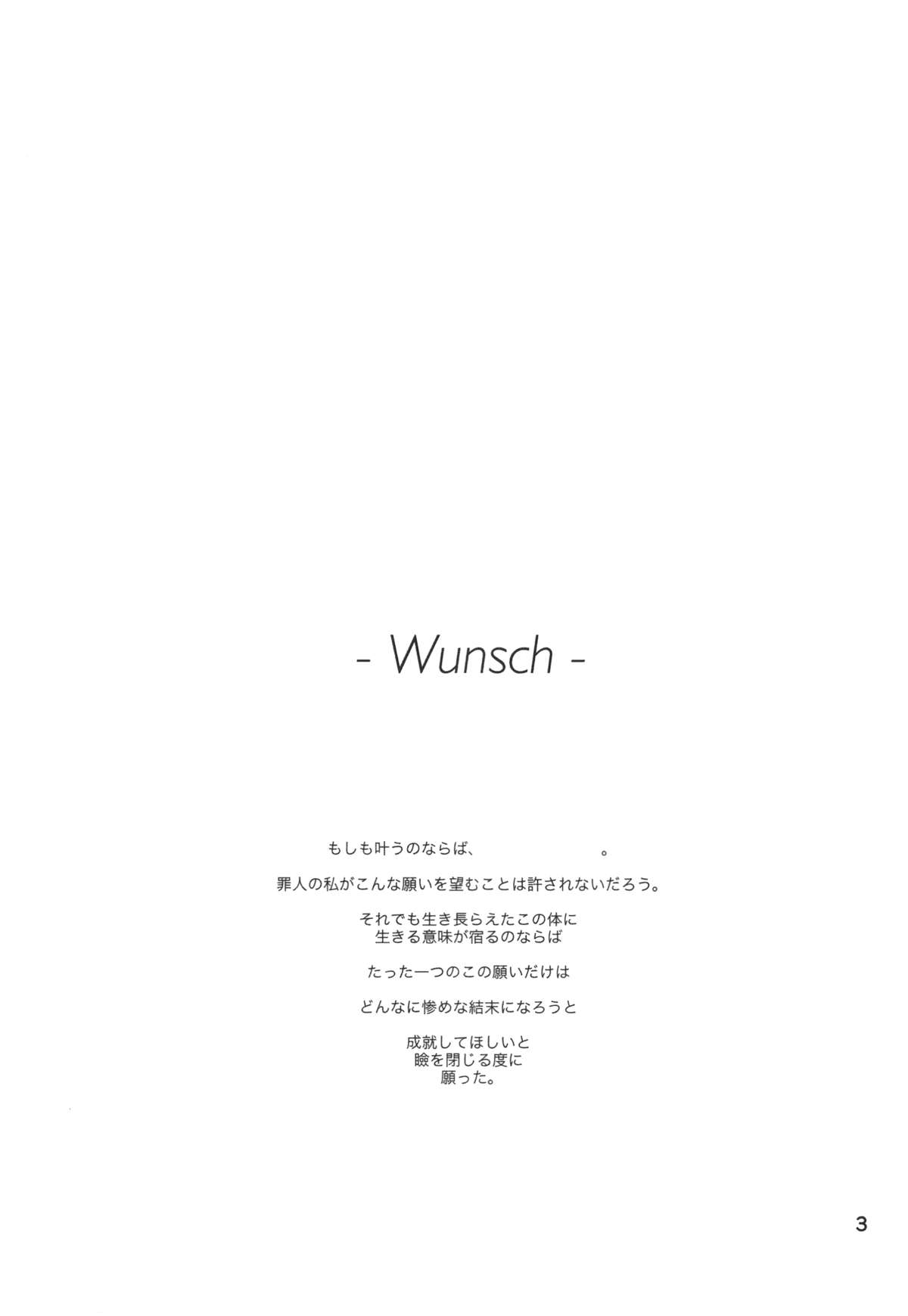 (C85) [HB (Futoo)] Wunsch (Senki Zesshou Symphogear) page 3 full