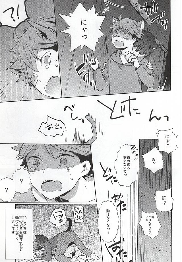 (RTS!!5) [Shounen-H (Yuuki)] Neko ni Natta Oikawa-san (Haikyuu!!) page 8 full