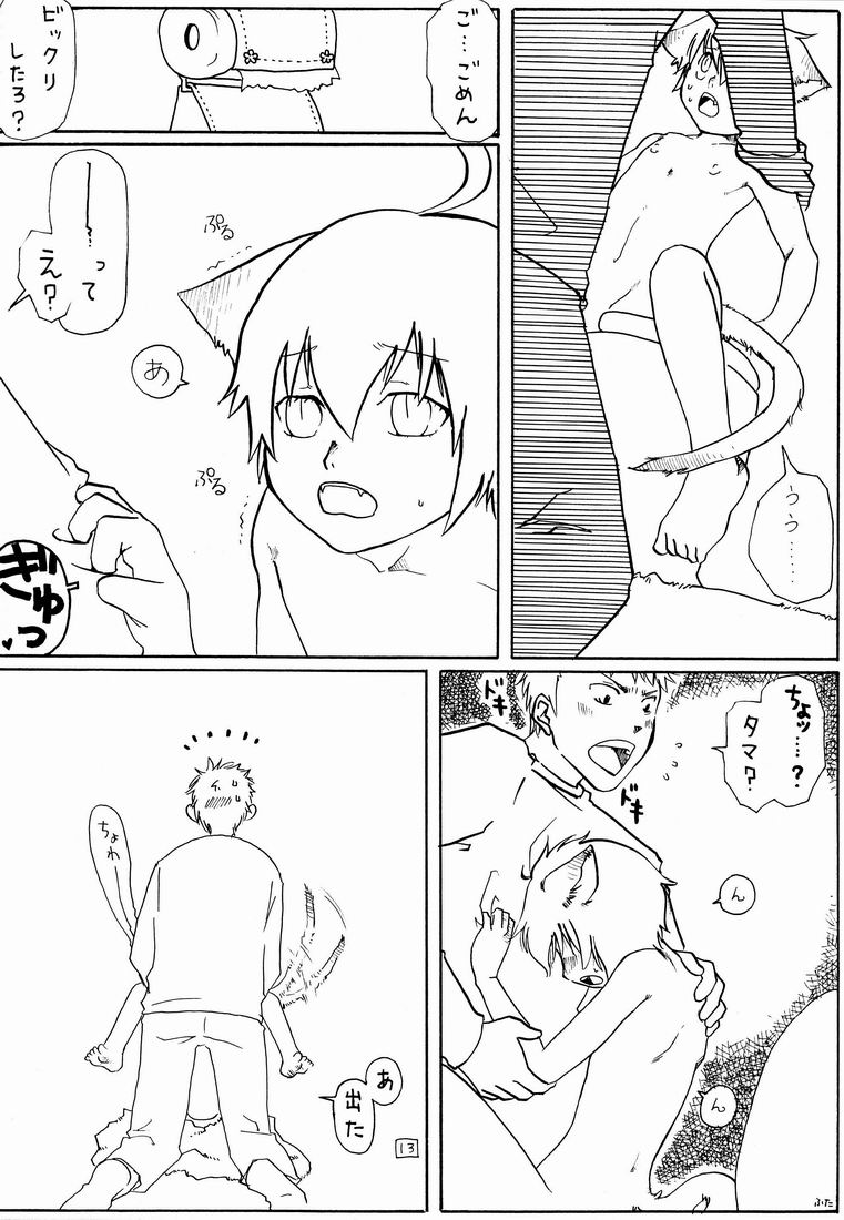 Fifth (Gobanme) - Neko Shounen Hon page 12 full