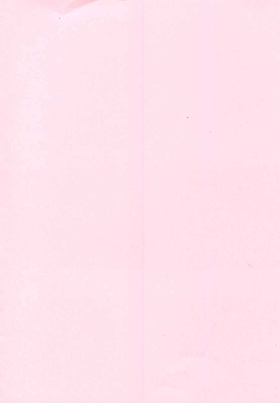 (FALL OF WALL3) [Meru (mario)] Letter (Shingeki no Kyojin) page 13 full