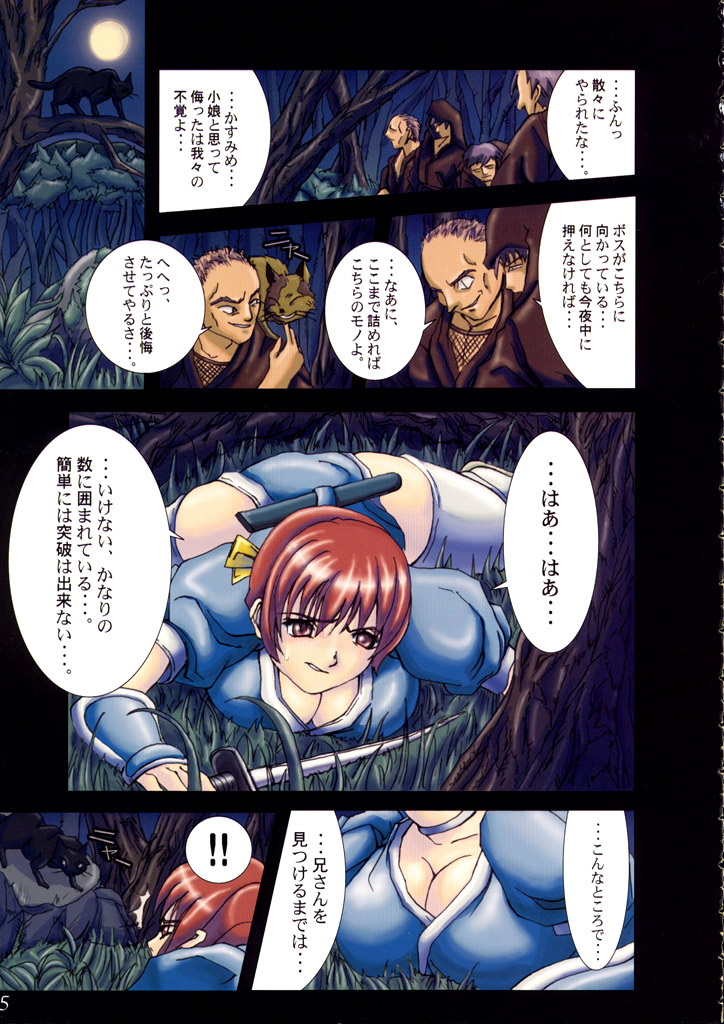 (CR30) [ORICOMPLEX (orico)] Tengudou Vol.1 (Dead or Alive) page 4 full