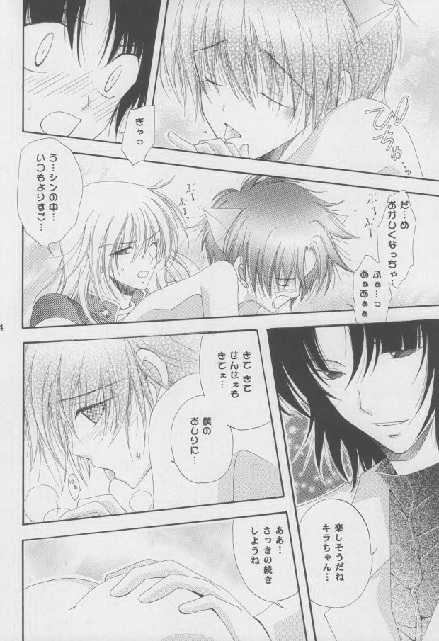 (C68) [Mutsuharu (Kagami Haruki)] Nekomimi Zouryouchuu (Gundam SEED DESTINY) [Incomplete] page 31 full