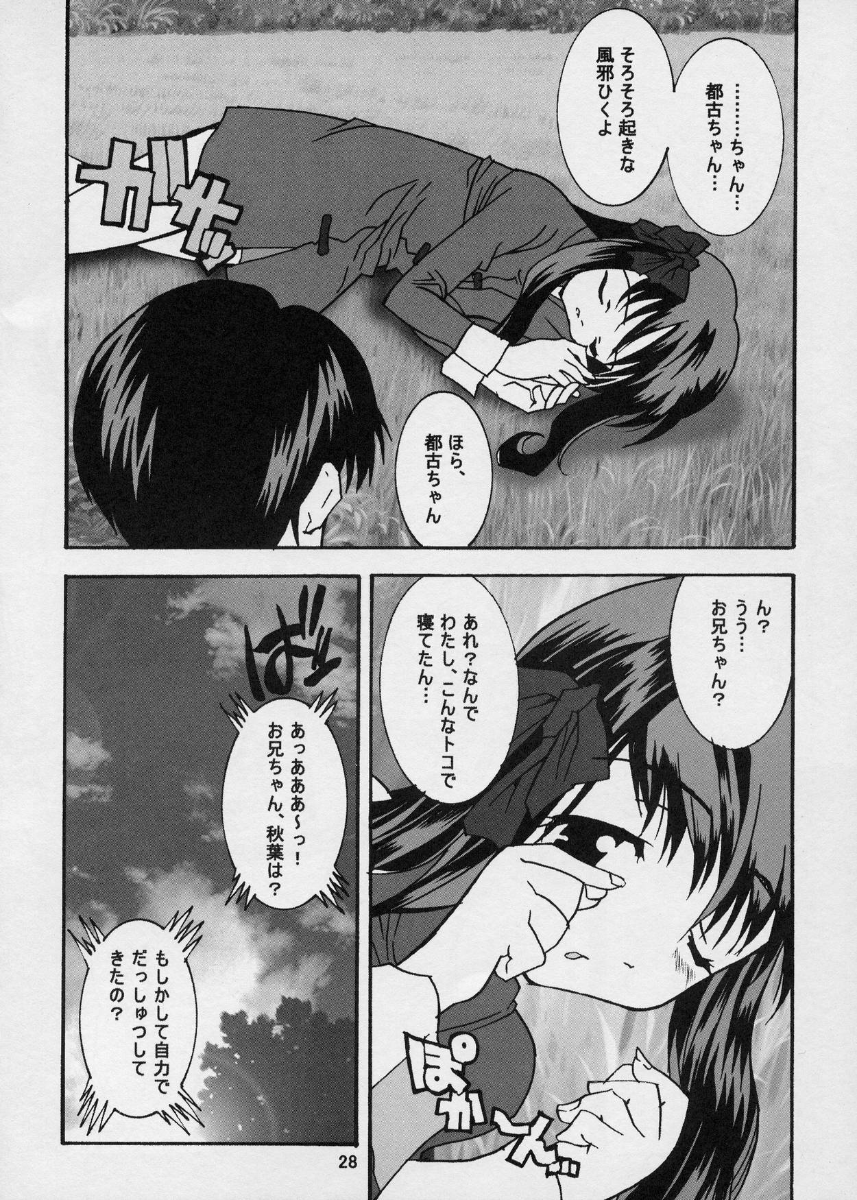 (CR33) [Maricyan-FC (Ginseidou, Kouno Shintarou)] Momerubura (Tsukihime) page 28 full