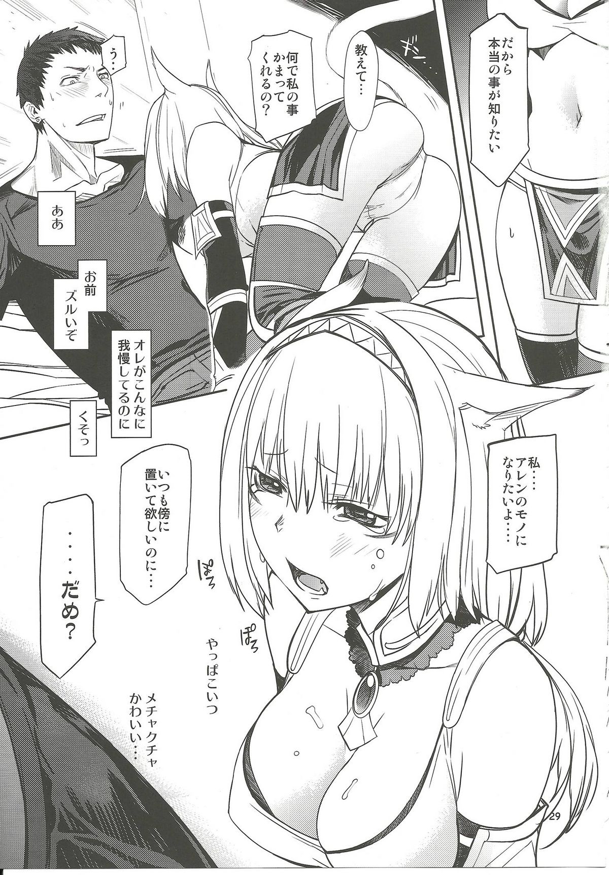(C76) [Robina go round (Robina)] Nekomori! (Final Fantasy XI) page 28 full