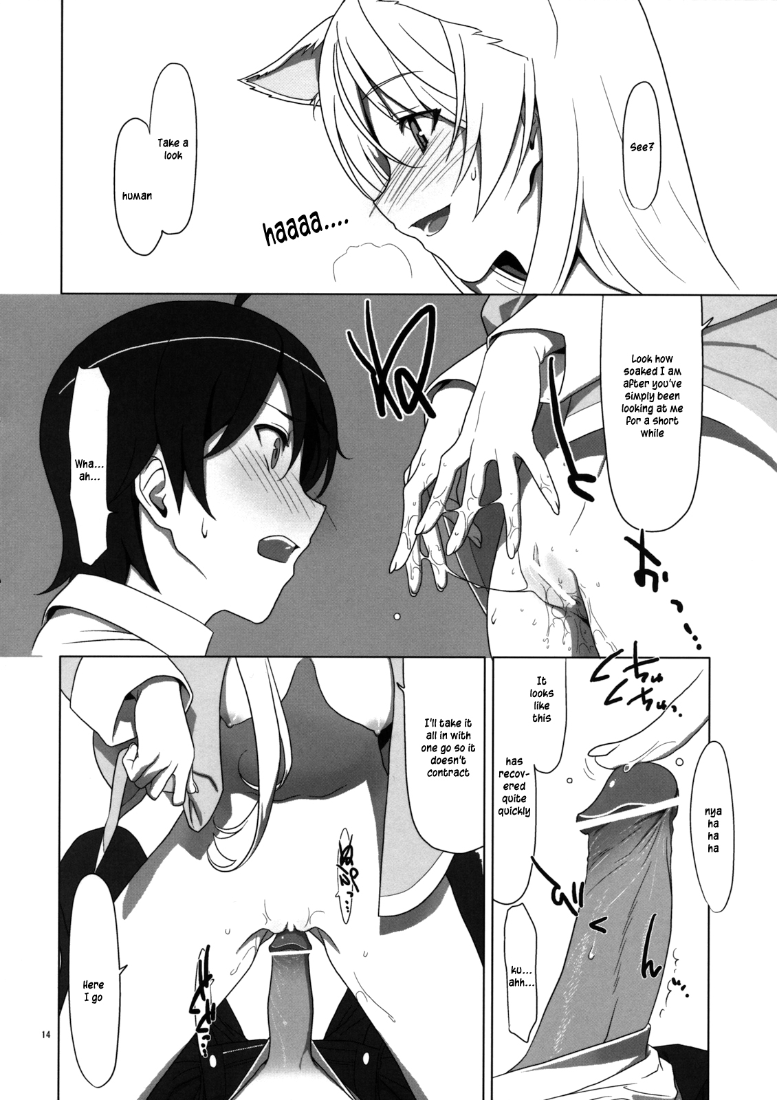 (C77) [TIES (Takei Ooki)] PLUNDER (Bakemonogatari) [English] {EHCove, L4K} page 13 full