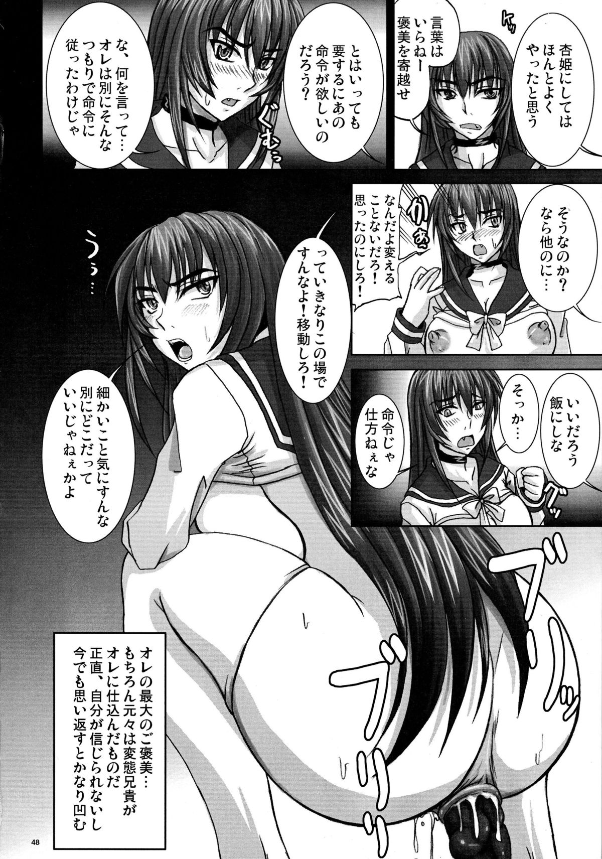 (C71) [Nozarashi (Nozarashi Satoru)] Gyakushuu no Kyouhime-sama page 48 full