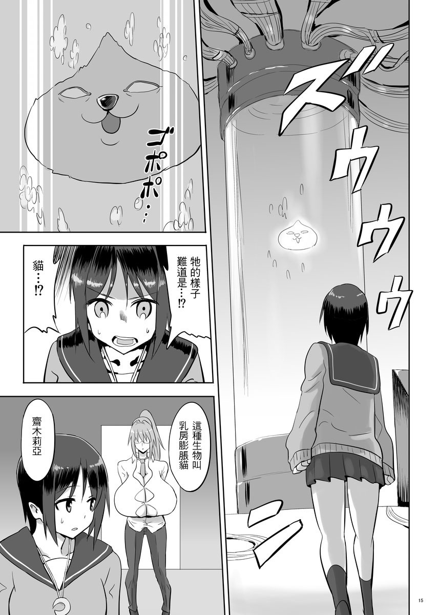 [Chounyuu Kenkyuushitsu (Ishioto)] Zemuriya Report [Chinese] [i751207個人漢化] [Digital] page 14 full