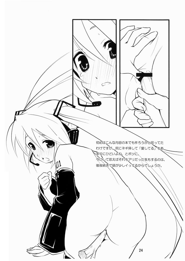 (C73) [rabbit syndrome (Hermmy)] Miku-Romania (VOCALOID) page 23 full