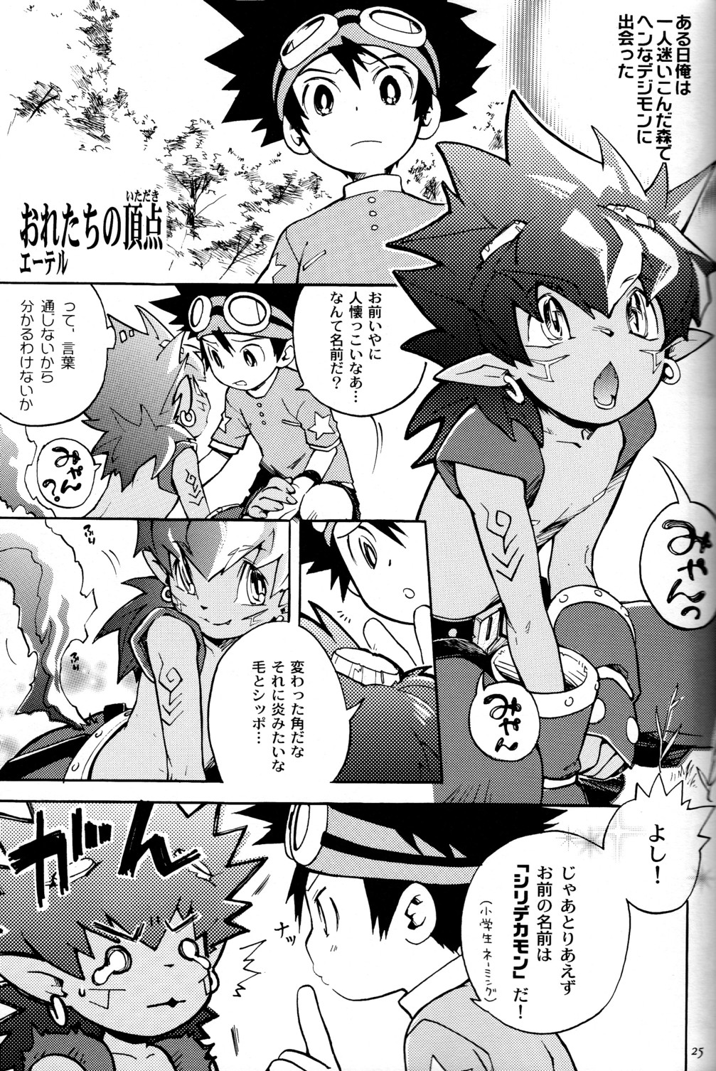 (C65) [KuruGuru DNA (Hoshiai Hilo)] Tai Taku Tai (Digimon) page 25 full