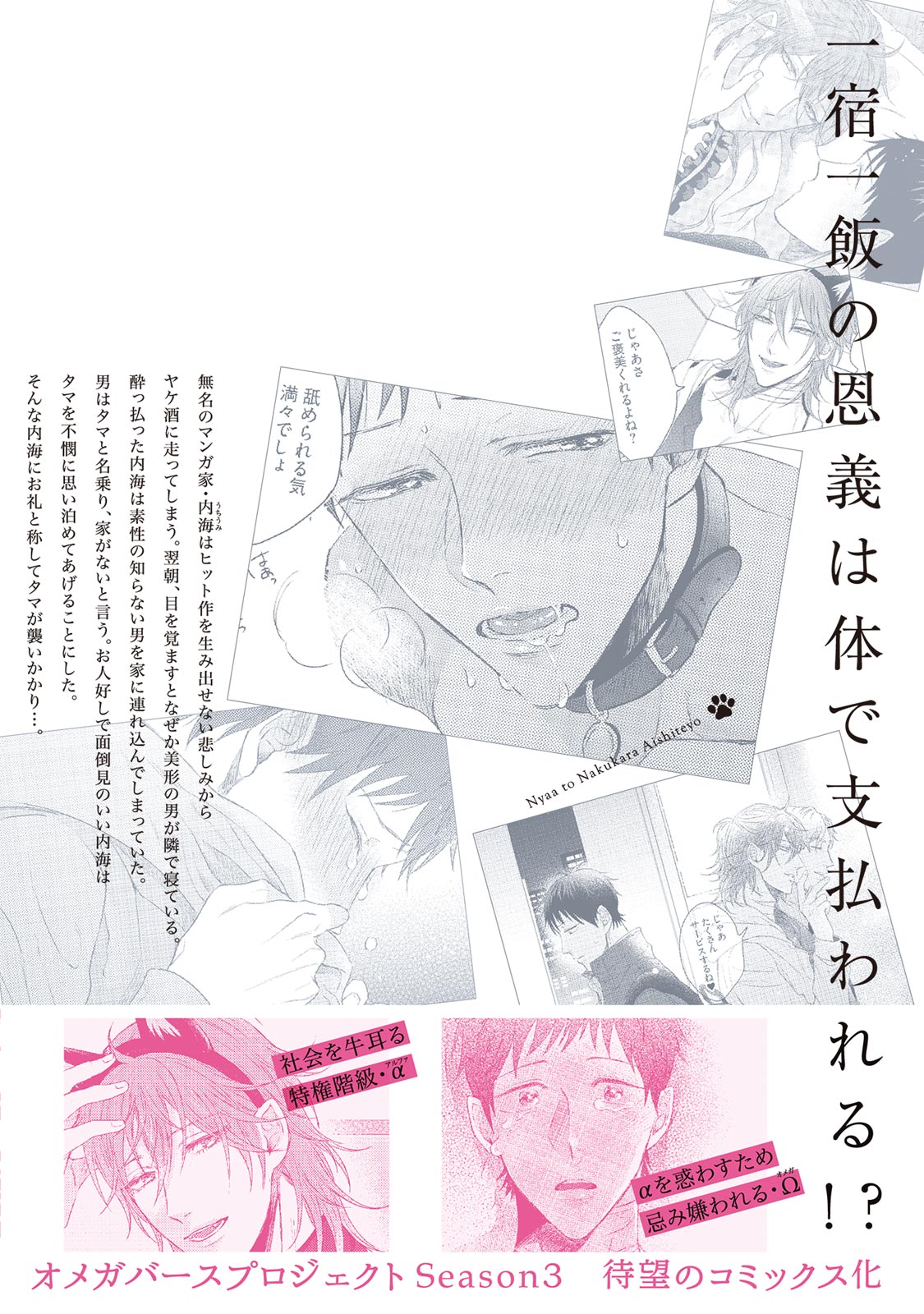 [Hareya Umako] Nyaa to Nakukara Aishiteyo page 252 full
