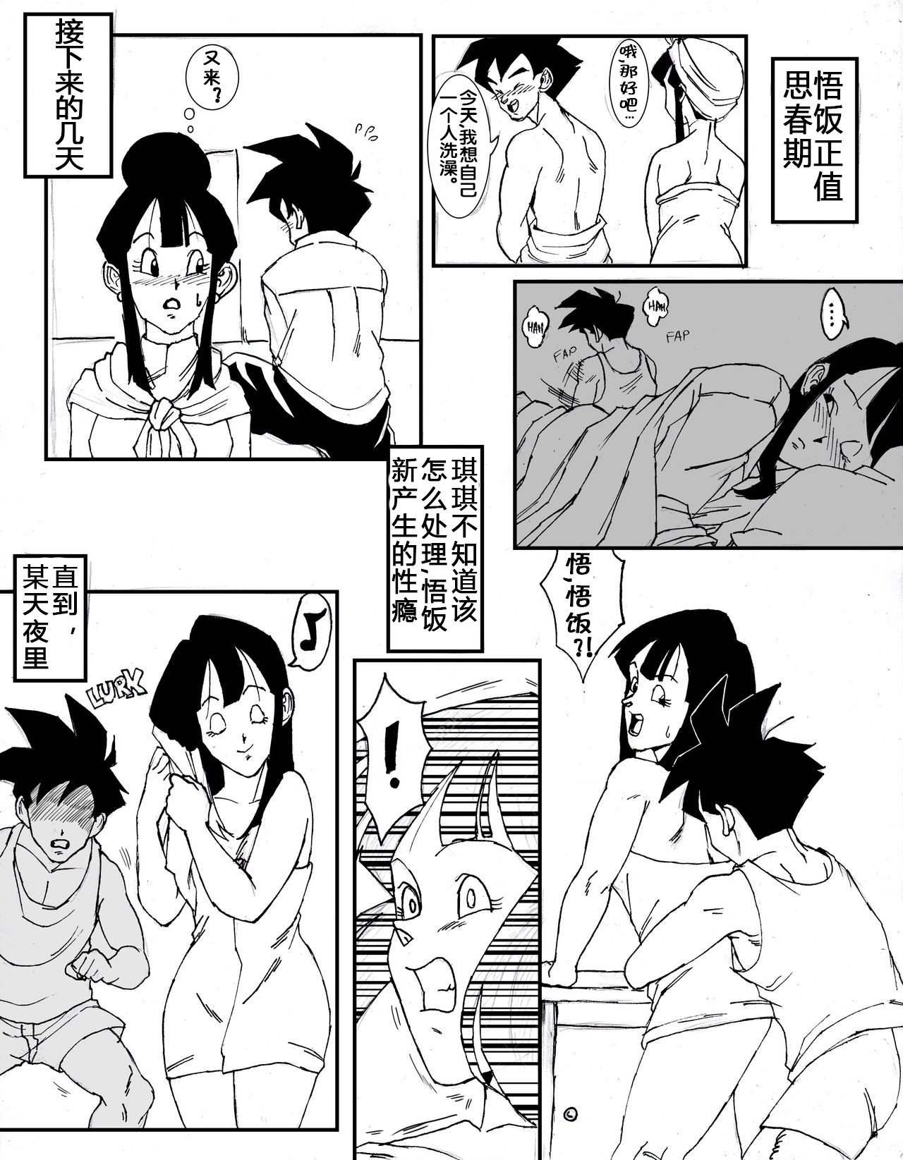 [Aarokira] GohanXChichi (Dragon Ball)[Chinese][流木个人汉化] page 14 full