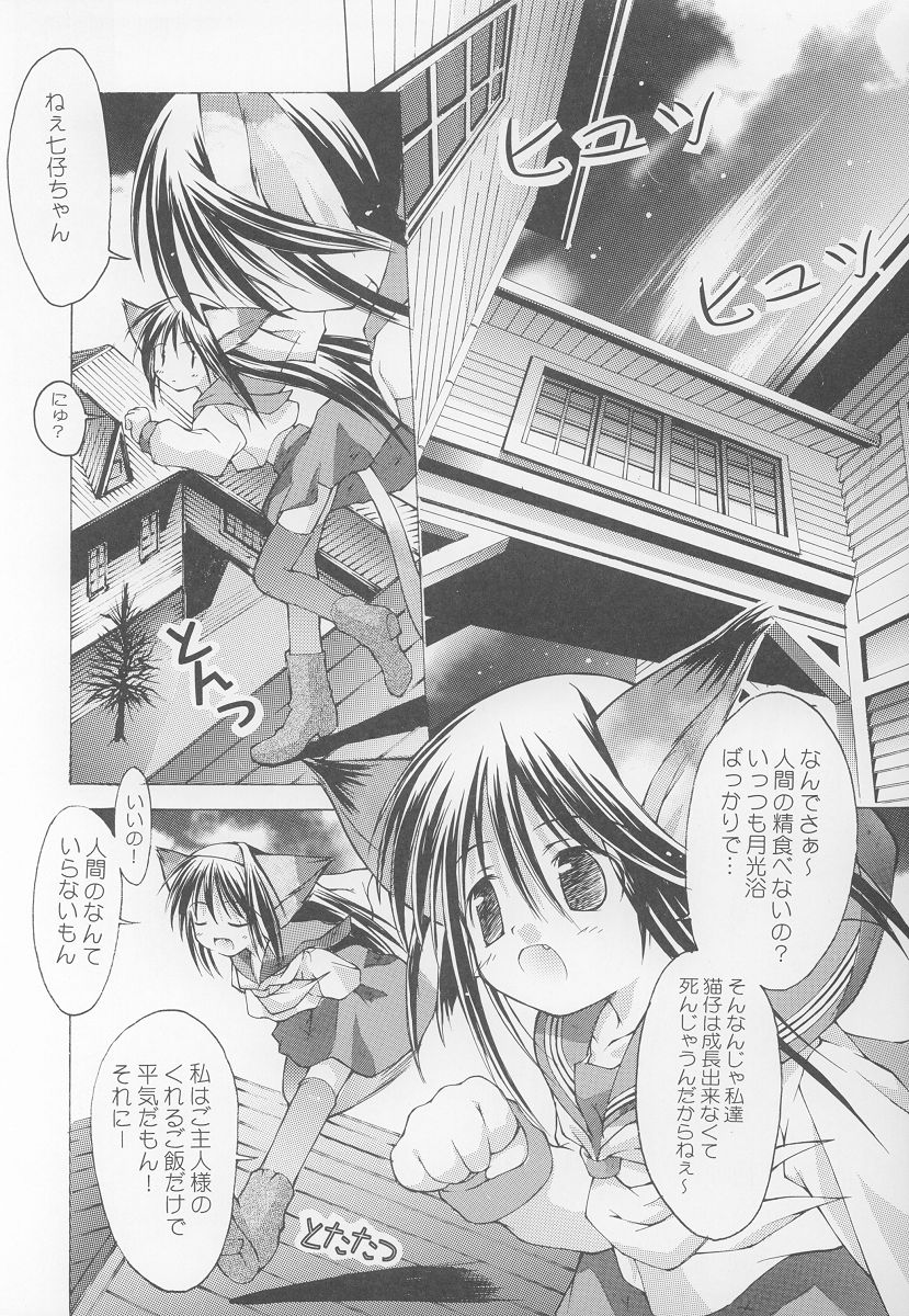 (C63) [Chuuni+OUT OF SIGHT (Kim Chii)] Yotogi no Nekoko Sono Ichi page 7 full