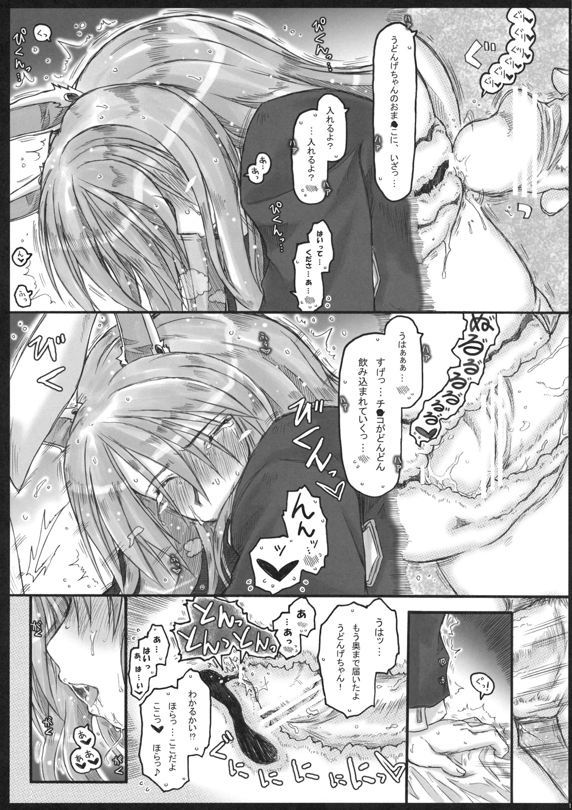 (COMIC1☆5) [Ankoku-Bousougumi (Ainu Mania)] MoshiUdo! (Touhou Project) page 13 full