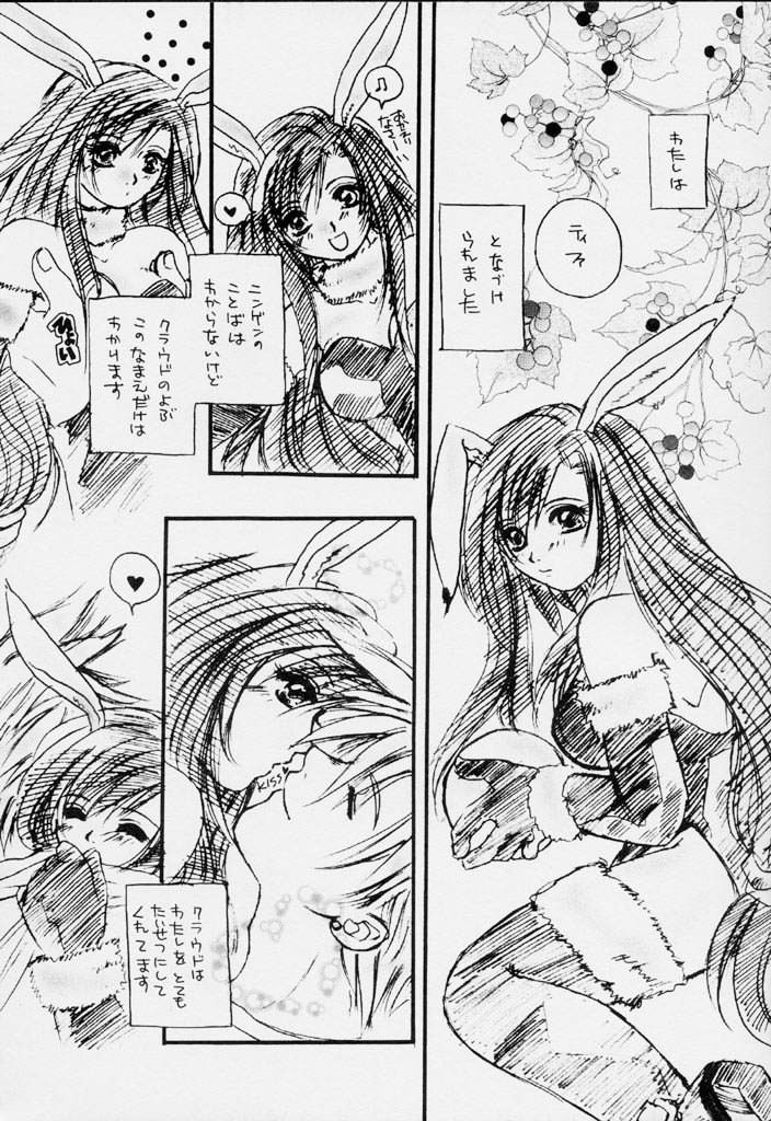 (C59) [Nanabangai No Tengoku (Shiina Haduki)] Usagi No Hitorigoto (Final Fantasy VII) page 6 full