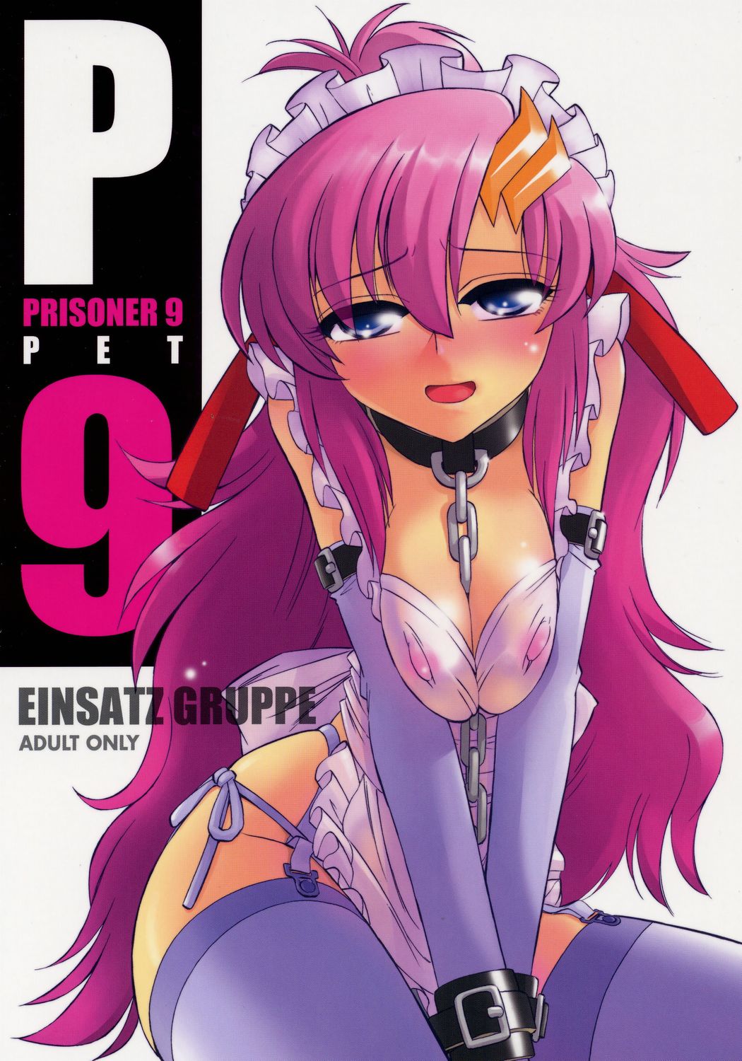 (C71) [EINSATZ GRUPPE (Charlie Nishinaka)] PRISONER 9 Pet (Mobile Suit Gundam SEED Destiny) page 1 full