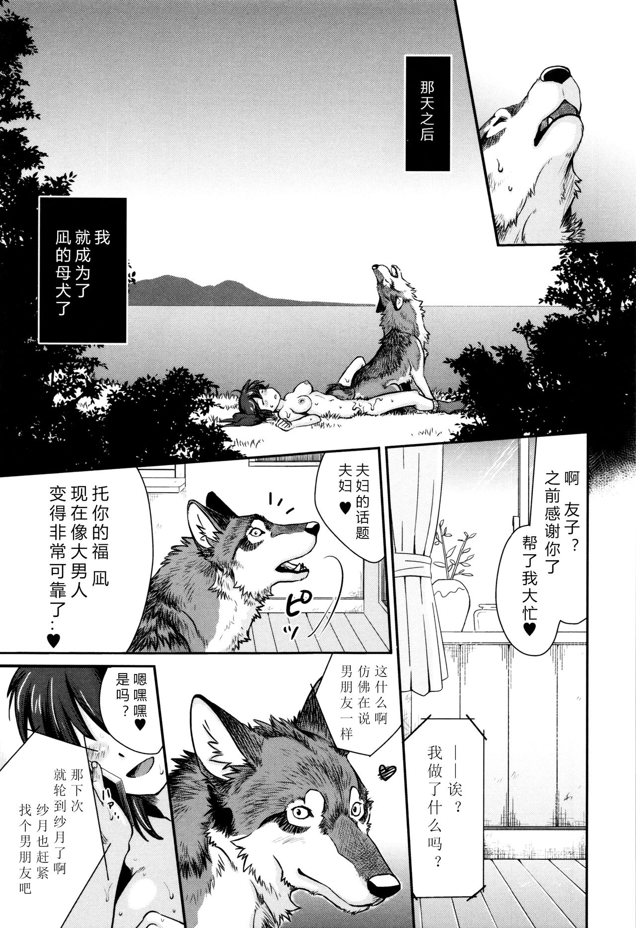 [Souko Souji] Nagi, Ikanaide! ~Ookami to Shoujo~ (Kemono DIRECT 3) [Chinese] [翠星石汉化] page 19 full