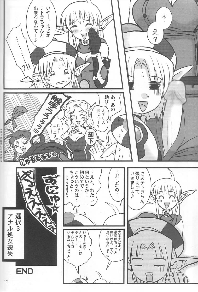 (C65) [Beni-ya (Kurenai Yuuki)] PSO CRIMSON ver.4.0 (Phantasy Star Online) page 11 full