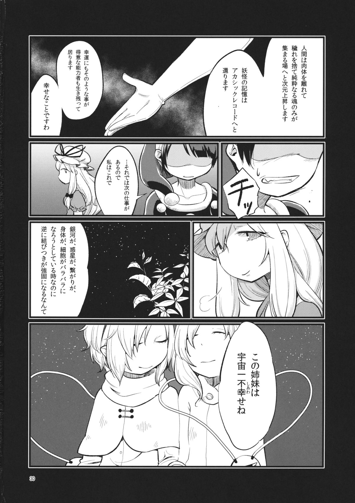 (C89) [tuiteyukenuyo (Zo)] Zettai Reido no Soup (Touhou Project) page 29 full