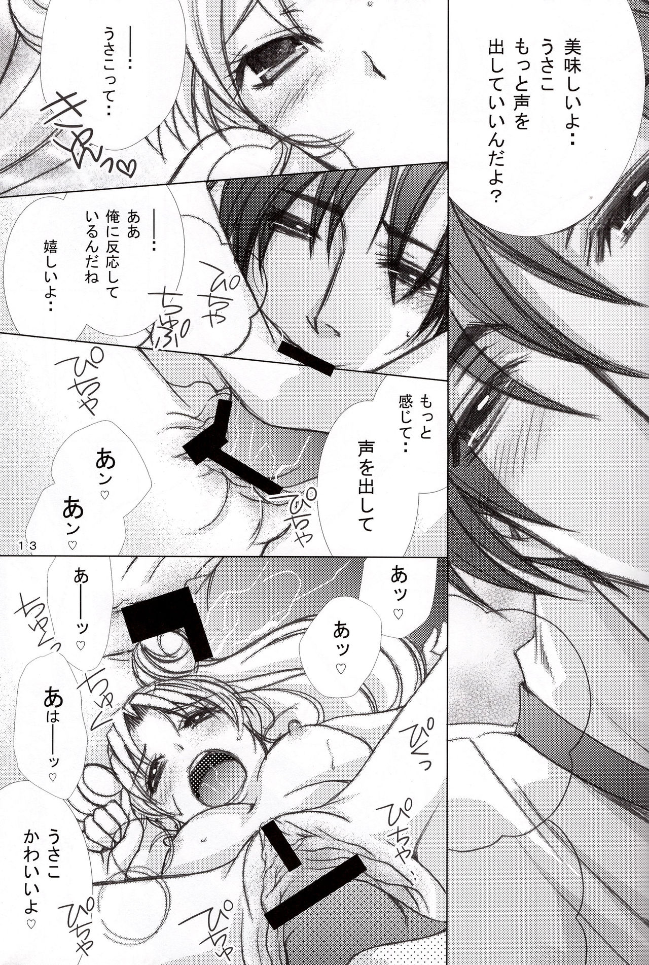 (C88) [M.MACABRE (Nyanko MIC)] MOON LIGHT LOVE (Bishoujo Senshi Sailor Moon) page 13 full