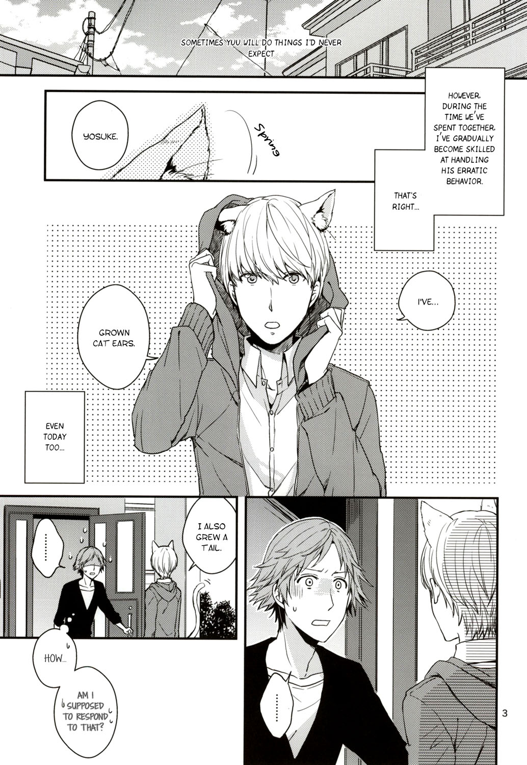 (C83) [Swallow Sky (Rihara)] CRAZY CAT LOVER (Persona 4) [English] [Kuro] page 2 full