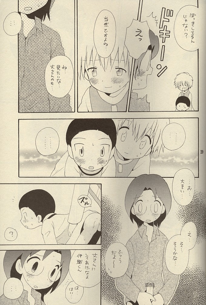 (Shota Collection 01) [Kuruguru DNA (Hoshiai Hilo)] MISSING LINK (Digimon) page 29 full