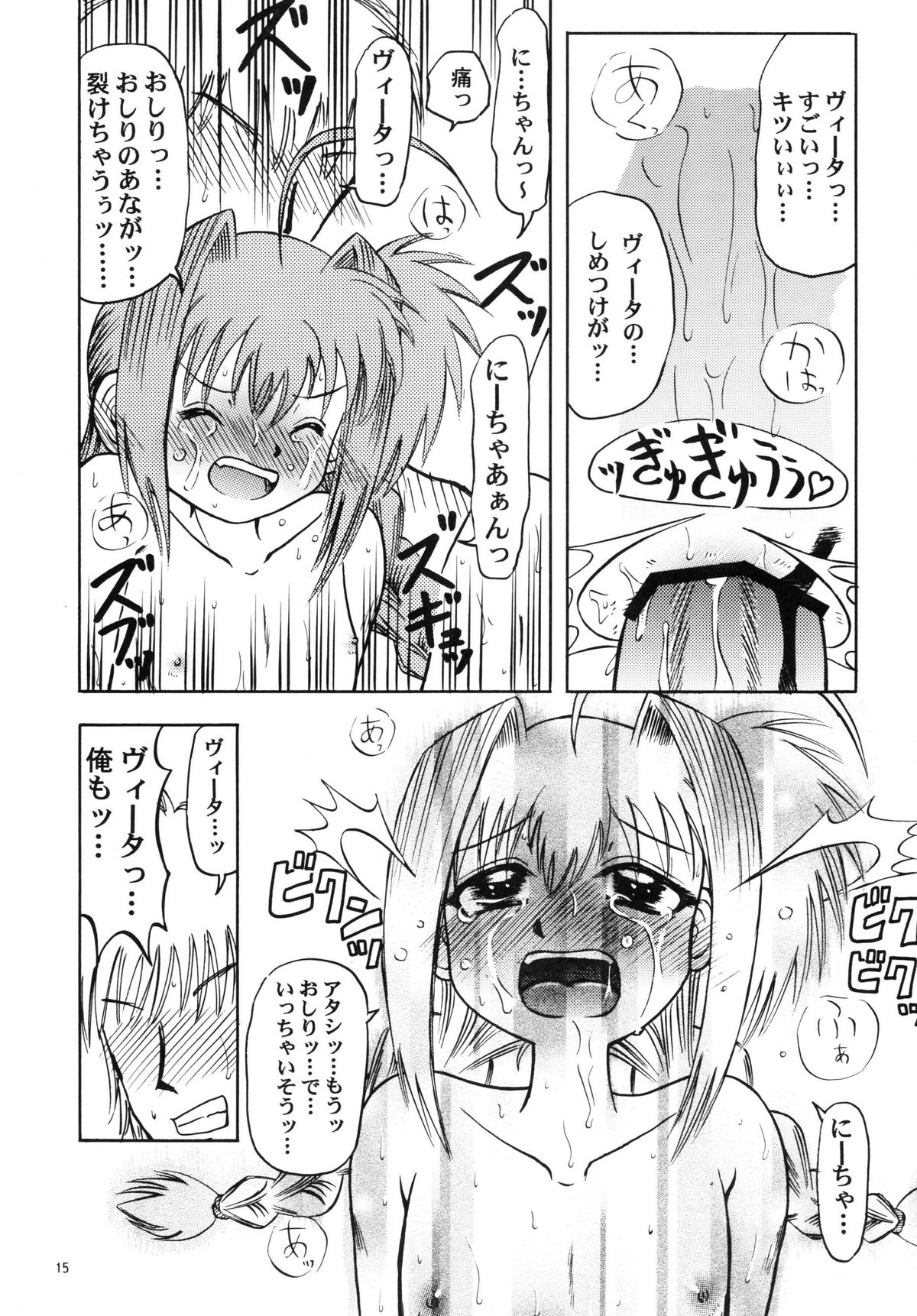 [Akachi] Vita AF (Mahou Shoujou Lyrical Nanoha) page 15 full