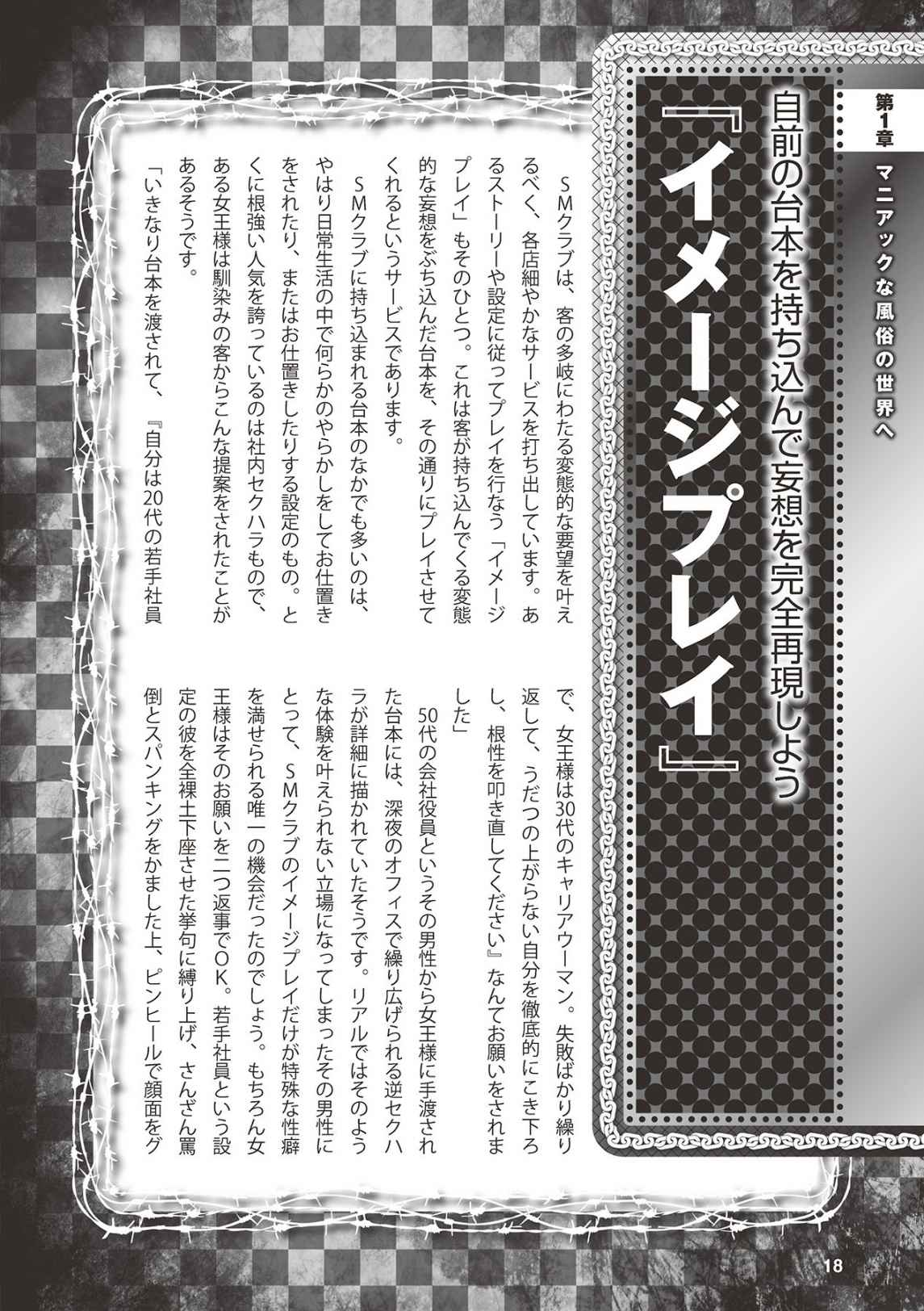 アブノーマル風俗入門 ラブドール風俗から、1000万円の風俗嬢まで page 20 full